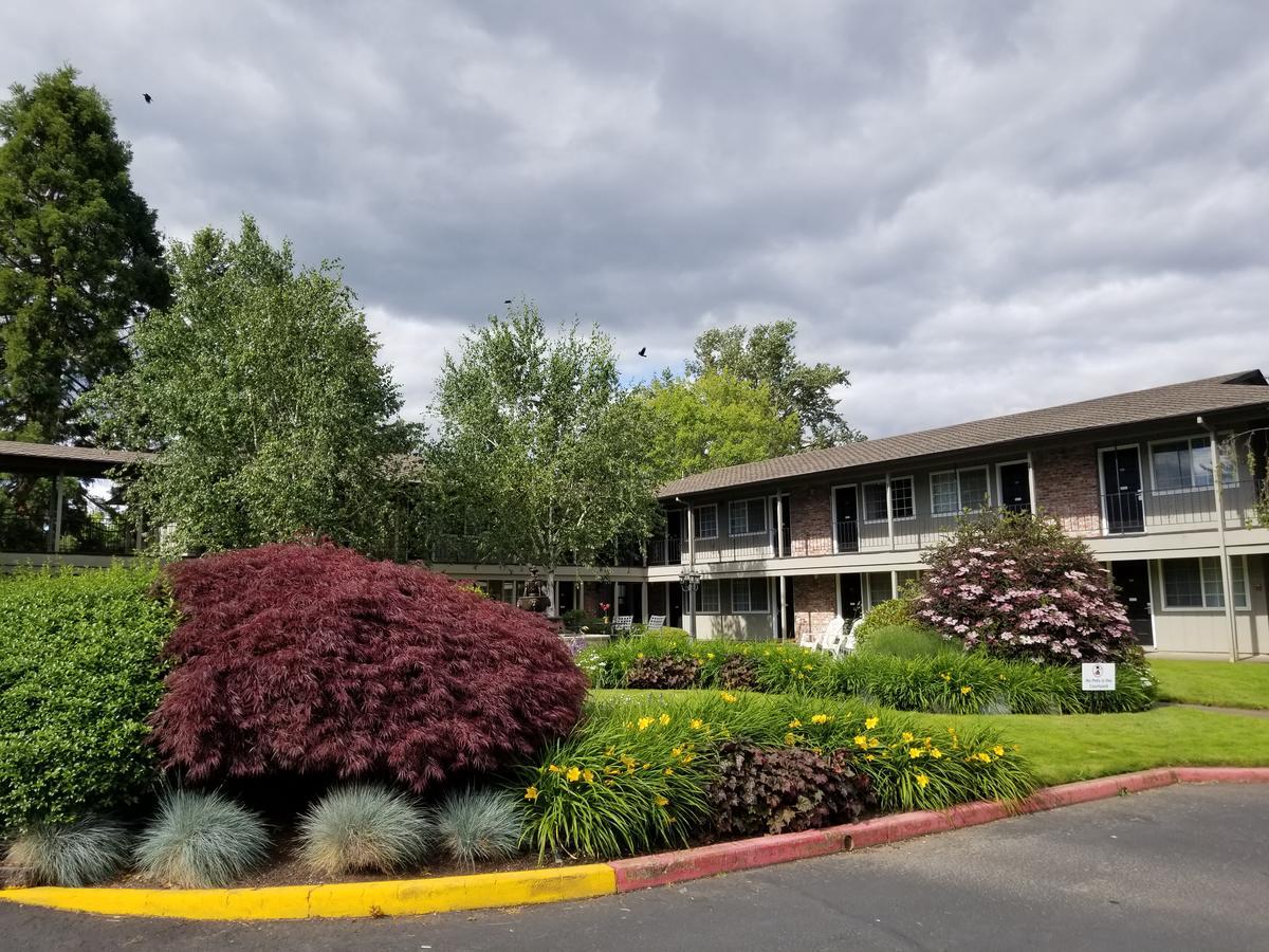 Village Motel Springfield