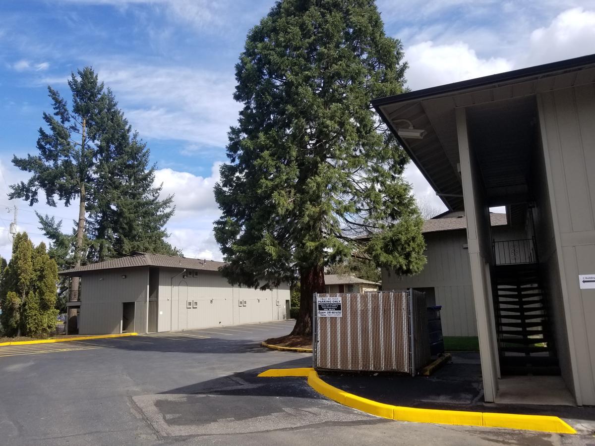 Village Motel